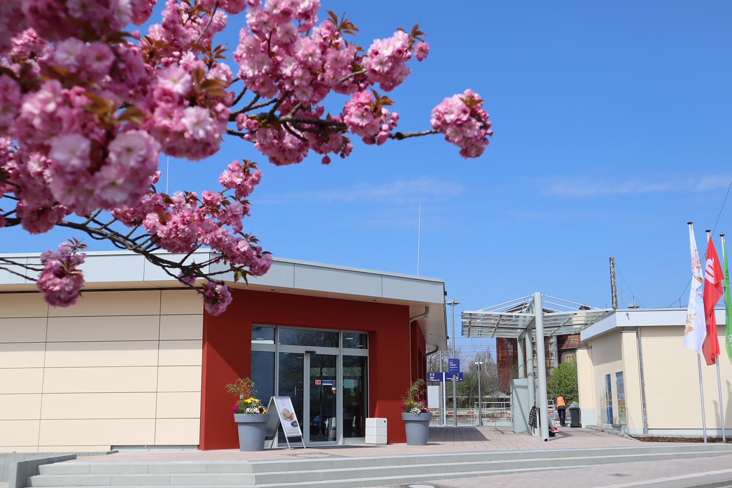 Außenaufnahme vom Bahnhof Torgau im Frühling
